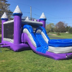 Purple Castle Combo ($225 Dry — $250 Wet)