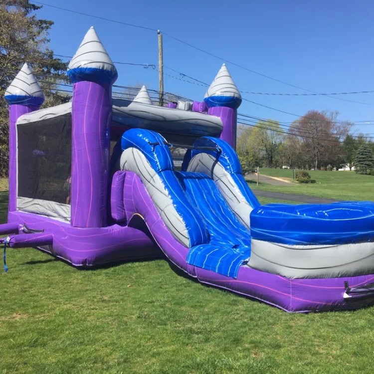 Purple Castle Combo ($225 Dry — $250 Wet)